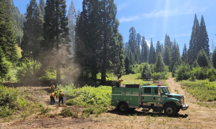 Firefighters in yellow safety gear work in a meadow near a light green firetruck. Tall sequoia trees stand in the background.