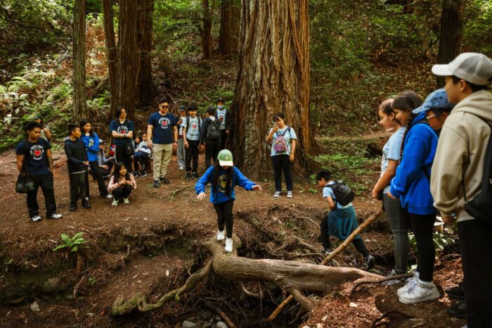 A girl crosses a log above a ravine as a group of children and adults look on.