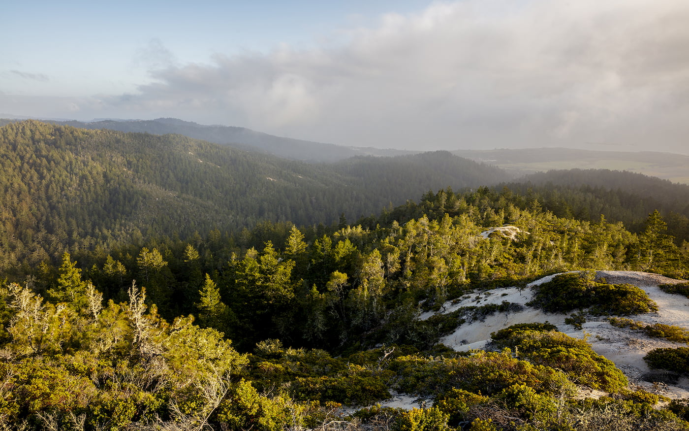 Cascade Creek is a stunning expanse of over 100 acres of old growth redwoods forest.