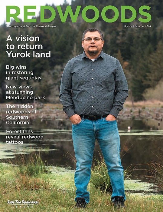 Redwoods Magazine Spring-Summer 2024 cover