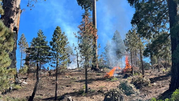 Crews pile and burn unnatural buildups of plant material to reduce the risk of severe wildfire