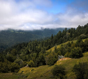 A scenic landscape of rolling green hills and dense evergreen forests under a partially cloudy sky.