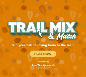Trail Mix and Match