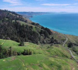 A drone shot of the coastal hills, with forested areas and farmland on one side, overlooking the blue ocean in the background.