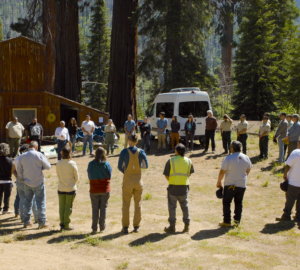 A group of people gather in a large circle with sequoia trees in the background.