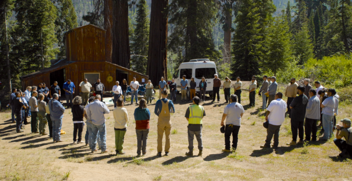 A group of people gather in a large circle with sequoia trees in the background.
